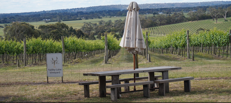 winery tours Yarra valley