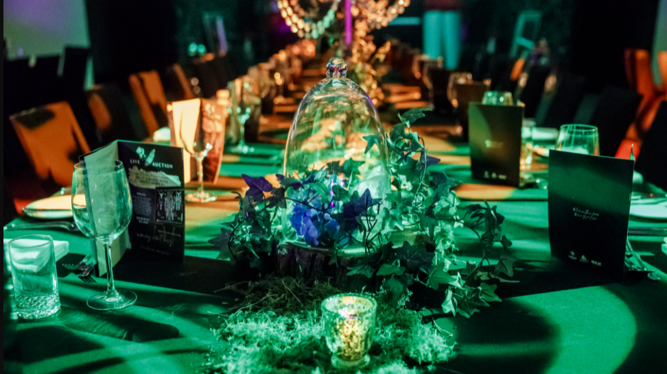 Event Theming Brisbane